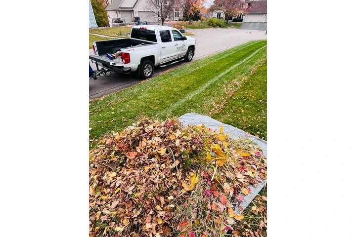 M & Sons Lawn And Landscaping image 10