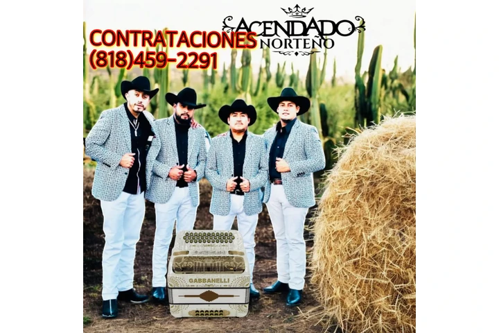 GRUPO NORTEÑO image 2