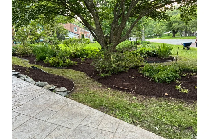 🌿HIDALGO LANDSCAPING🌿 image 6