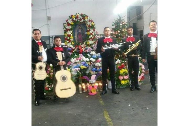 MARIACHI RAZA JALISCIENSE image 4