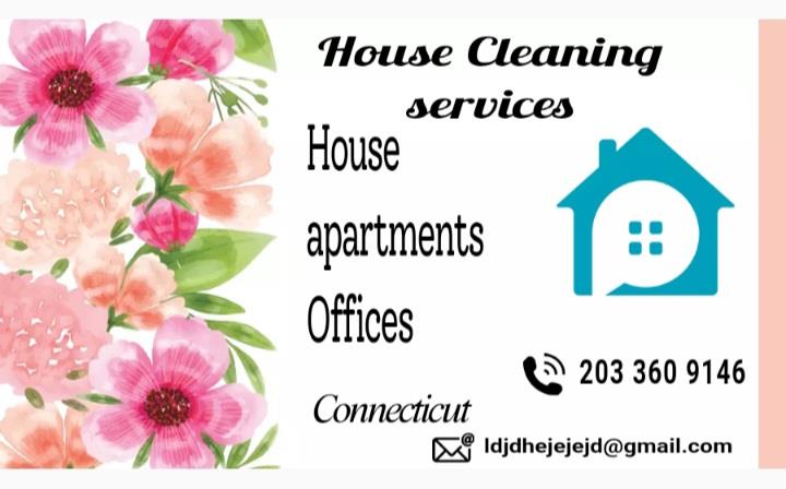 House cleaning image 1