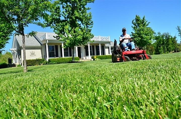 Lawn Care Services image 1