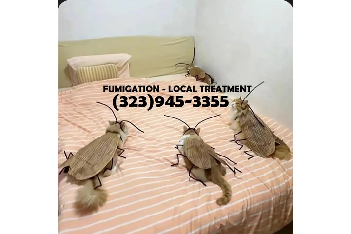 FUMIGATION - LOCAL TREATMENTS image 9