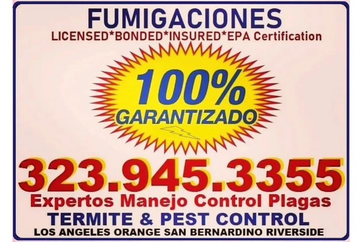 Exterminator Los Angeles 24/7. image 9