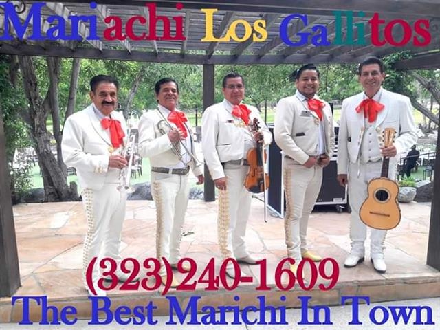 Mariachi For Hire image 4