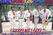 Mariachi For Hire thumbnail