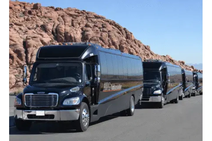 AWG Ambassador – Limo Service image 5