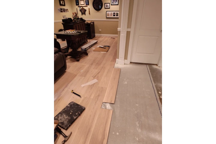 Panther construction image 10