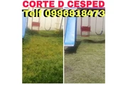 Jardinería en Quito 022428098 thumbnail