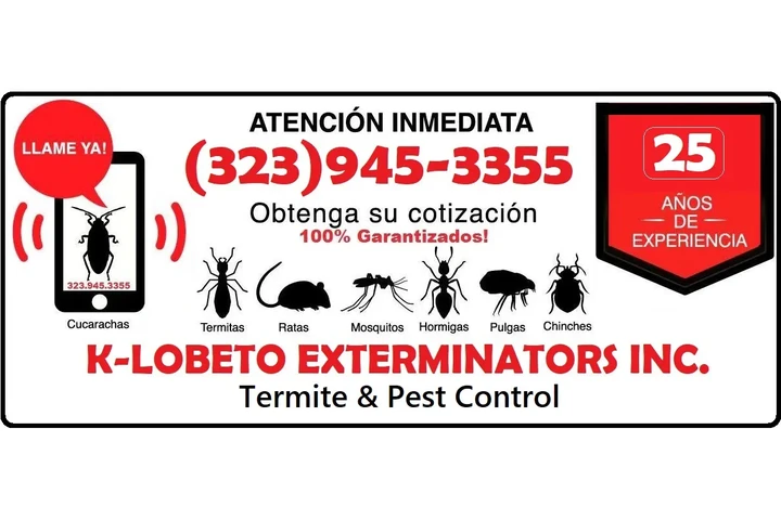 FUMIGACIONES LONCHERAS🌮TACOS. image 9