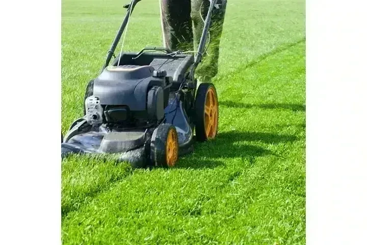 CANALEZ GARDENING SERVICES image 1