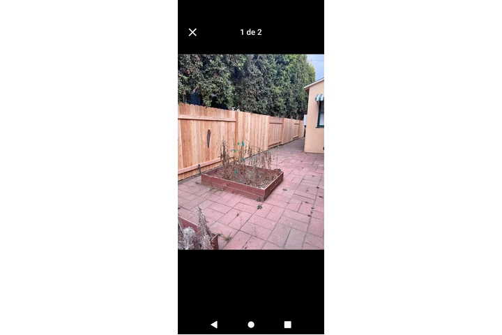 Ro. painters image 2