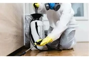 PEST CONTROL FUMIGACIÓN thumbnail