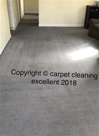 Carpet cleaning profesionales image 2