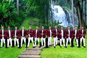 BANDA AMAPOLA 323 303 8484 en Riverside