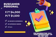 TRABAJAR COMO PROFESIONAL en Miami