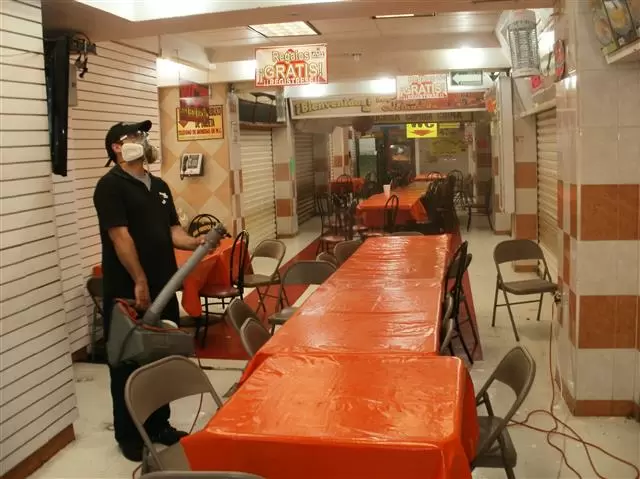 fumigaciones atash image 3