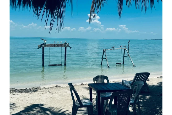 Invest in beachfront lots! image 7