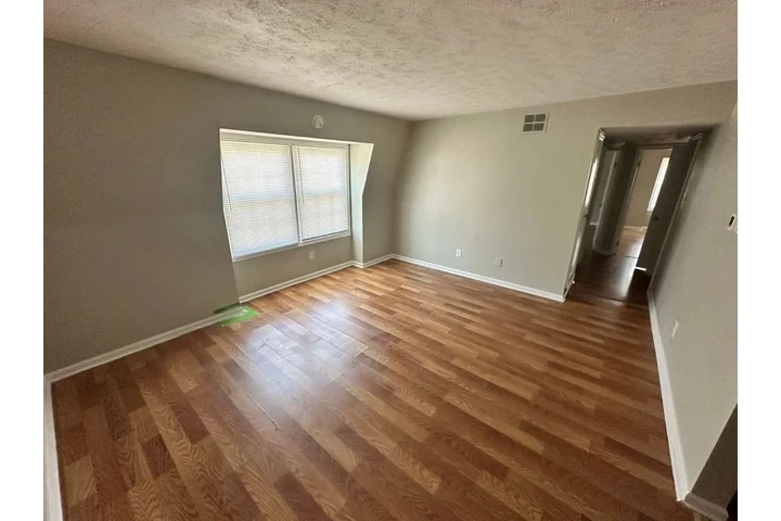 busco trabajo en construcción image 5