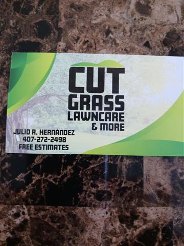 Cut Grass lawncare & more image 1