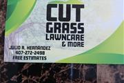 Cut Grass lawncare & more en Orlando