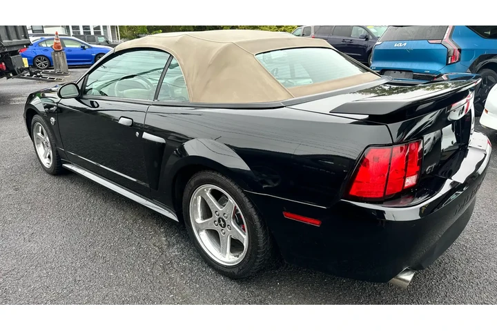 $15900 : 2004 Mustang image 6