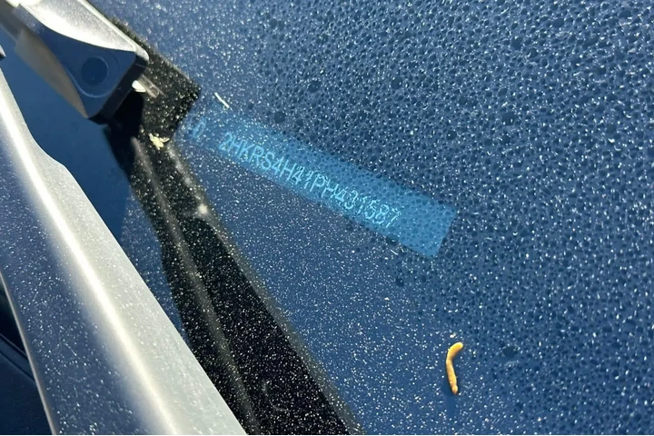 $30981 : Honda CR-V 2023 AWD EX 4dr S image 2