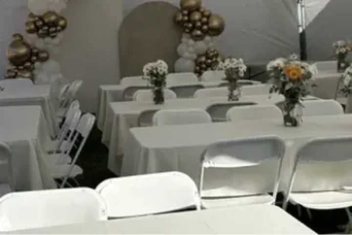 TENEMOS CARPAS image 1