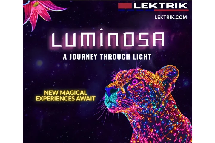 LUMINOSA - BY LEKTRIK ART image 1