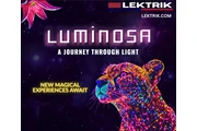 LUMINOSA - BY LEKTRIK ART en Miami