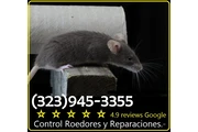 FUMIGACION RATONES LOS ANGELES thumbnail