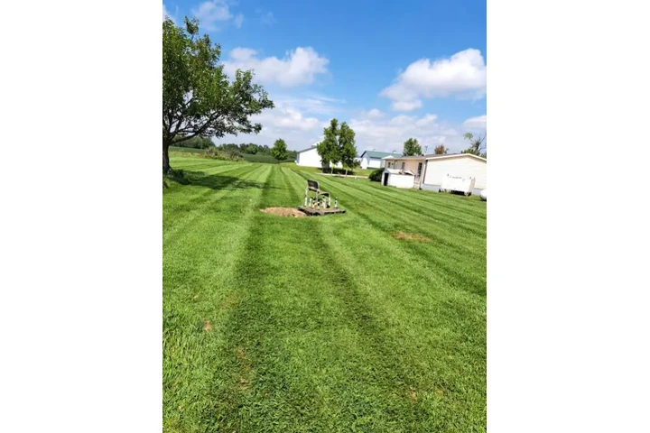 Jorge's Lawn and Landscaping image 9