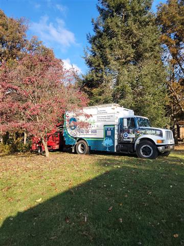 Tree Services in Glen Burnie image 3