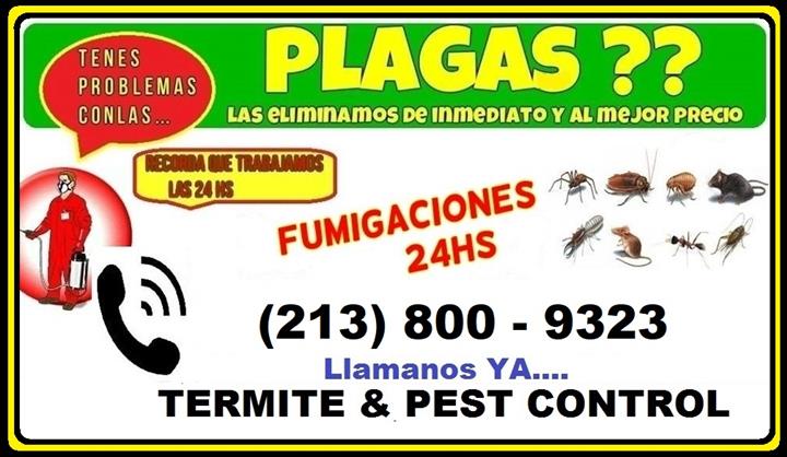 FUMIGACION/CONTROL DE PLAGAS. image 1