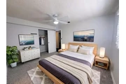 $1200 : NEW INTERIOR PAINT THROUGHOUT thumbnail