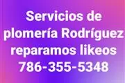 Servicios de Plomería 24 horas en Miami