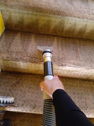 Roberto's carpet cleaning image 6