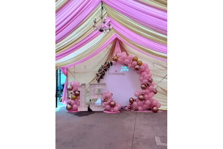 $350 : Draping carpaa image 3