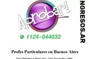 Ingresos.ar thumbnail 2