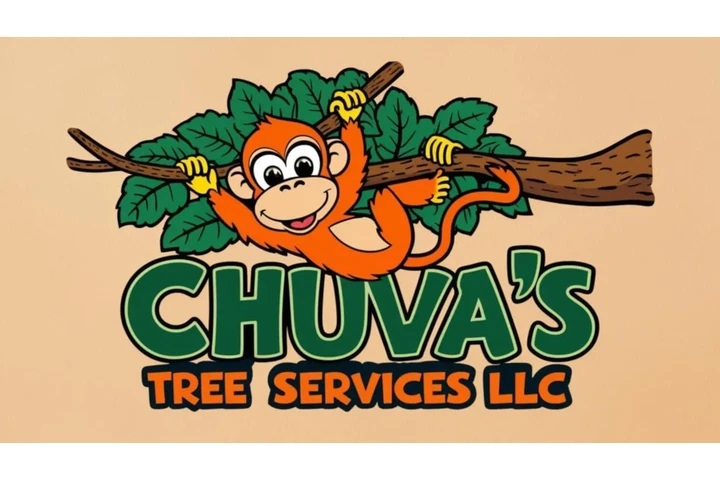 Servicio de Tree service image 1