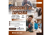 VACANTES DISPONIBLES TAPICERIA