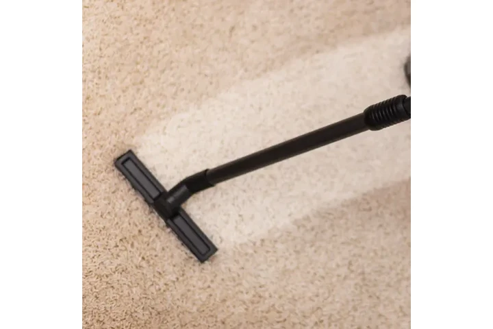 Aldo's Carpet image 1