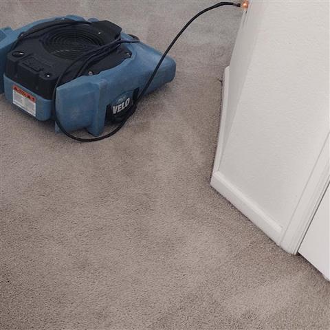 Carpet cleaning company image 5