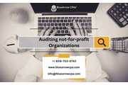 Auditing Not for Profit Organ.