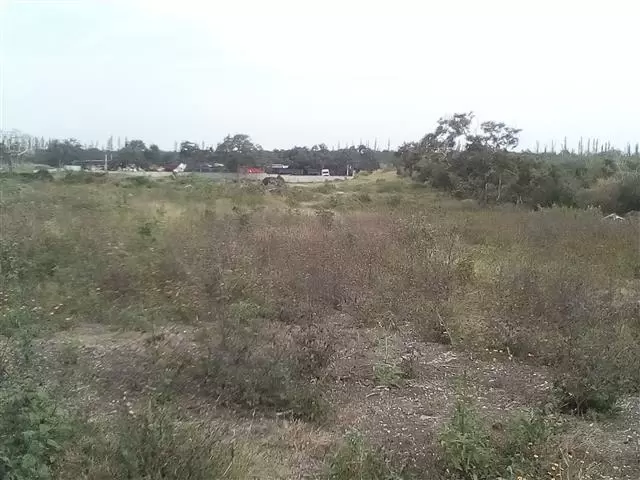 GITASA image 7