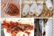 24/7 PEST CONTROL 323-945-3355 thumbnail