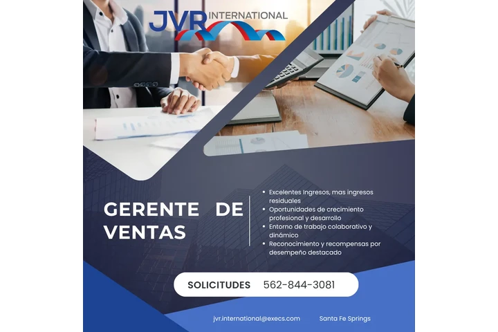 GERENTE DE VENTAS image 1