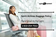 baggage rule for Spirit air en New York