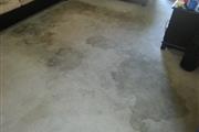CARPET STEAM CLEANING thumbnail