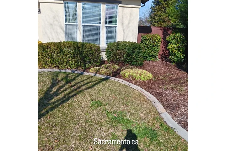 Jardinero image 3